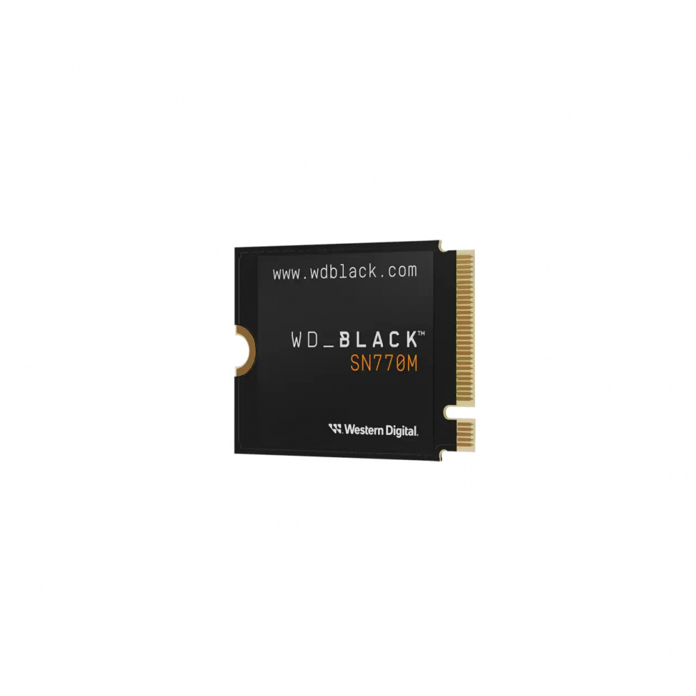 SSD WESTERN DIGITAL WDS100T3X0G